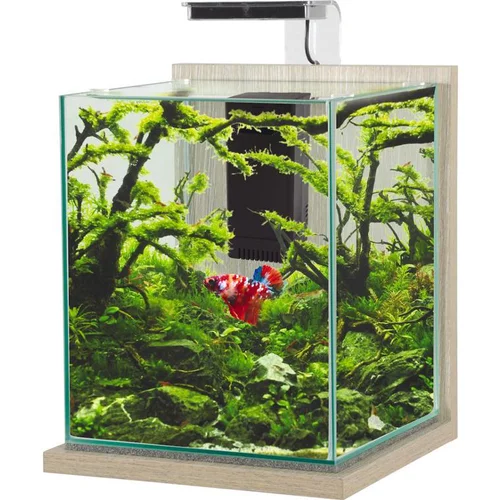 Kit aquarium Jalaya XL coloris zebrano gris Zolux - 25 x 25 x 30 cm