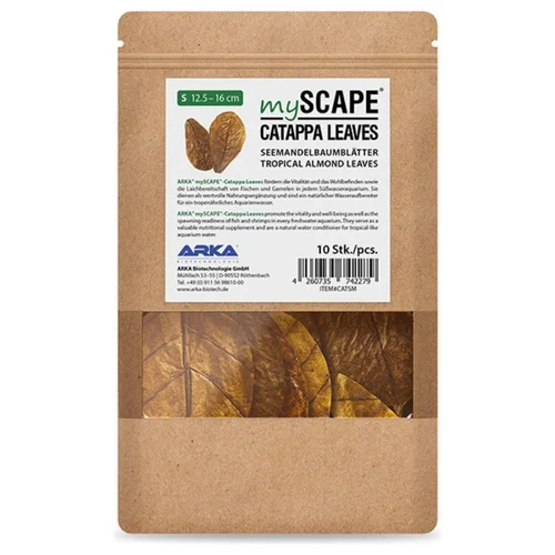 Feuilles de badamier taille S, ARKA myScape-Catappa - 10 pièces de 12,5/16 cm