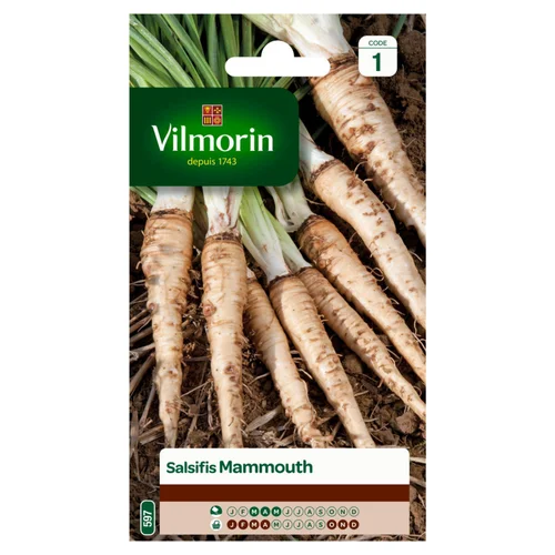 Salsifis Mammouth Vilmorin - graines à semer
