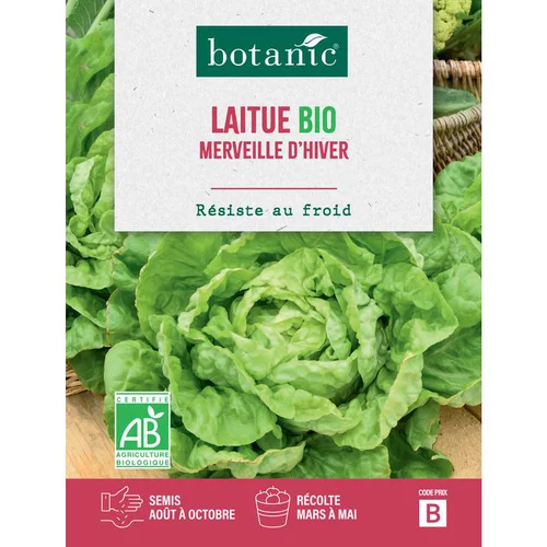 Graines de laitue merveille d’hiver botanic® - graines à semer