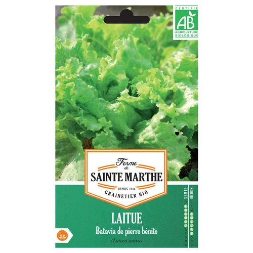 Graines de Laitue Batavia de pierre bénite bio Ferme de Sainte Marthe - 500 graines à semer