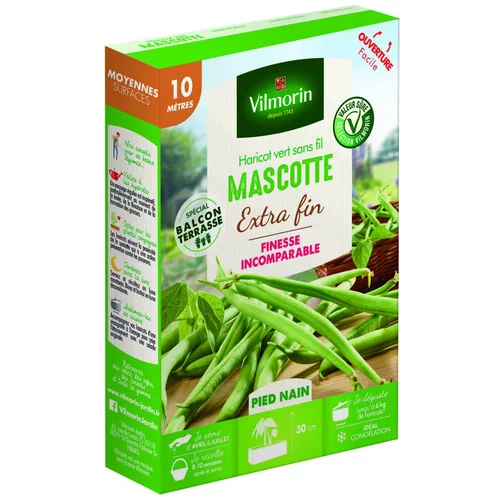Graines de haricot nain Mascotte Vilmorin - graines à semer