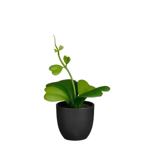 Hoya artificiel vert en pot - 17 x 13 x 22 cm